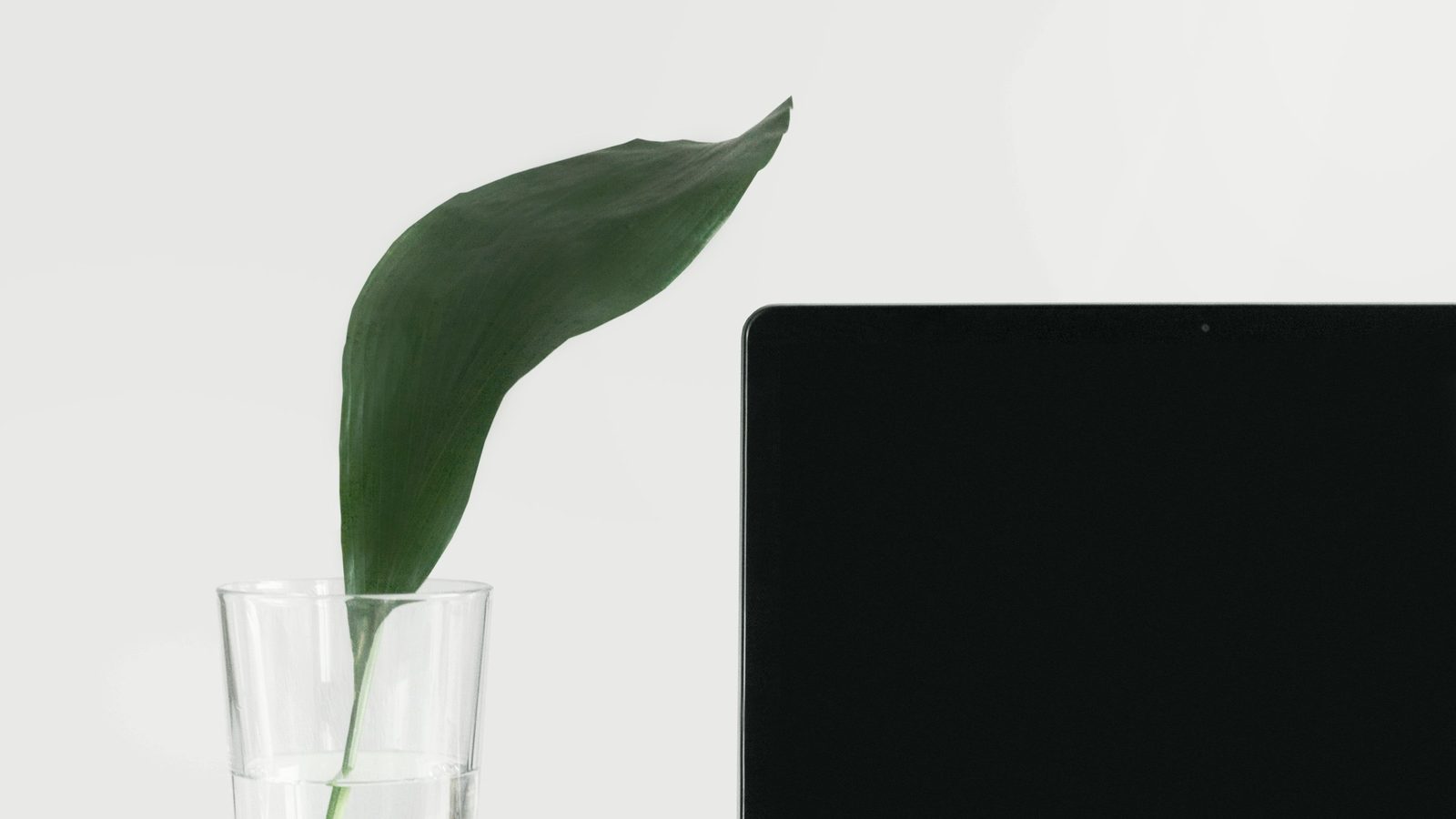USDT Flash Software